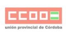 CCOO denuncia el incumplimiento del convenio por parte de ... Imagen 1
