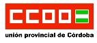 CCOO de Córdoba se suma a la concentración en Sevilla de ... Imagen 1