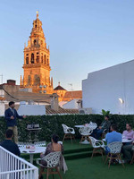 Tu plan perfecto en Córdoba: Catas dirigidas de vino con muc ... Imagen 1