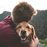 Una persona abraza a su perro