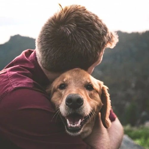 Una persona abraza a su perro