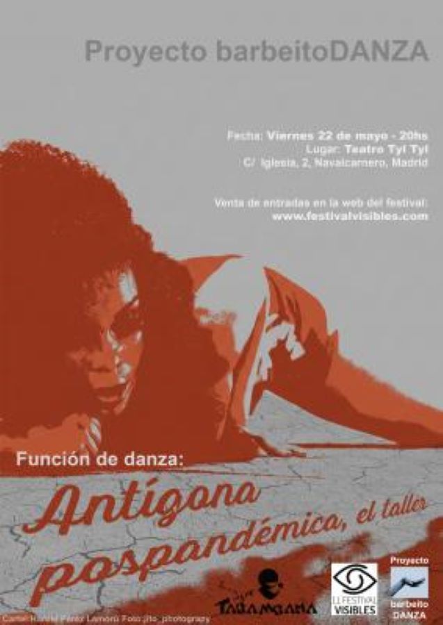 Festival Visibles