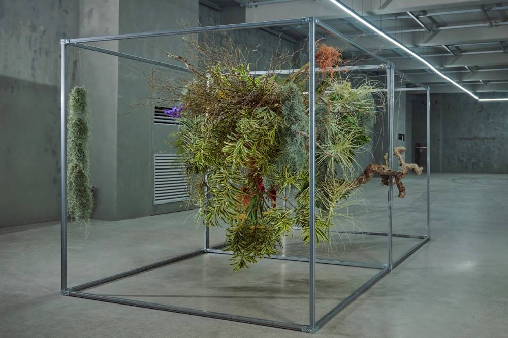 Instalacion Sohee Park
