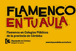 La Diputación lleva el flamenco a 48 colegios de 28 municipi ... Imagen 1