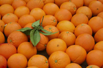 Agricultores cordobeses donan 20.000 kg. de naranjas al ... Imagen 1