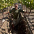 Andrew Neather en una zanja enmedio de viñas